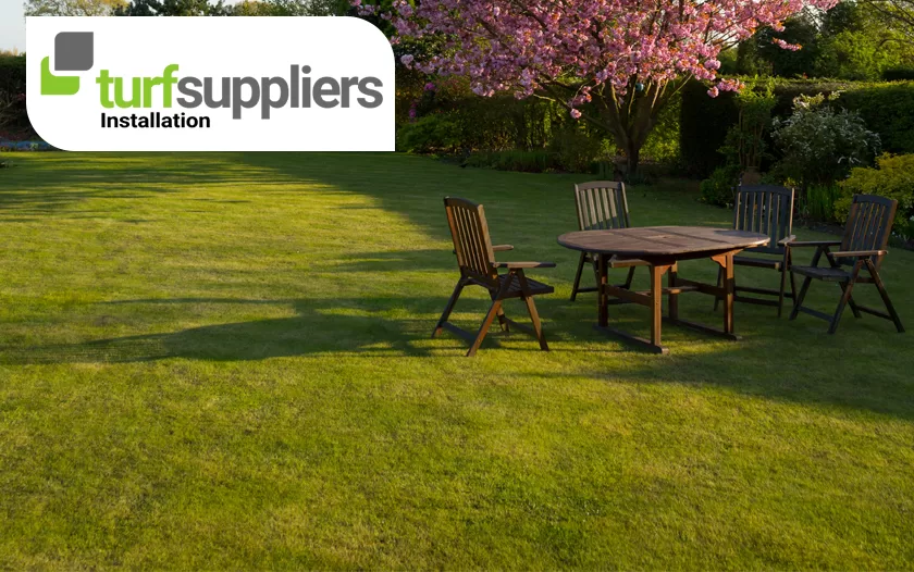 Residential Turf Suppliers