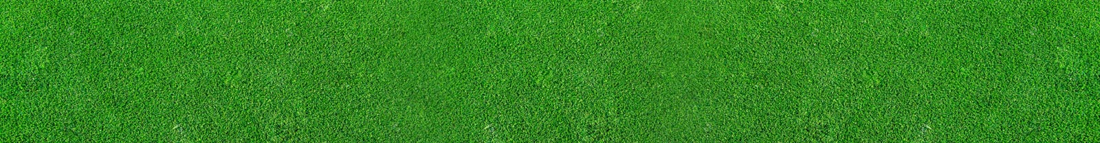 Artificial Turf Suppliers Port Alberni, Victoria