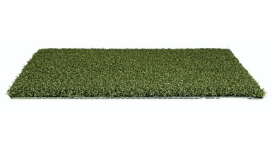 MONEY PUTT-DG-60