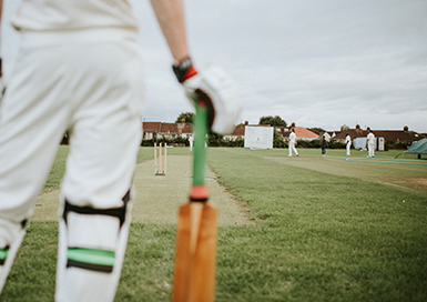 cricket-img