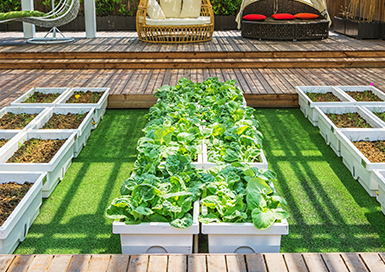 Residential Turf