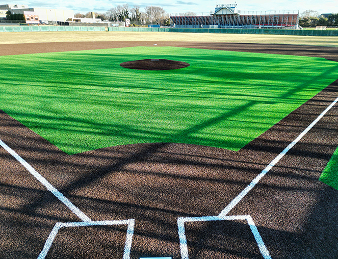 softball-content