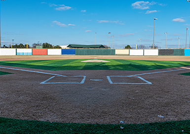 softball-img