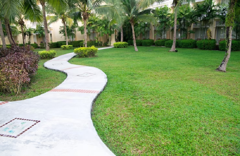 Synthetic Grass Installation Langley