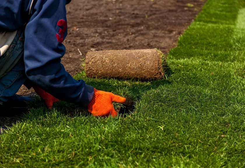 synthetic grass Abbotsford
