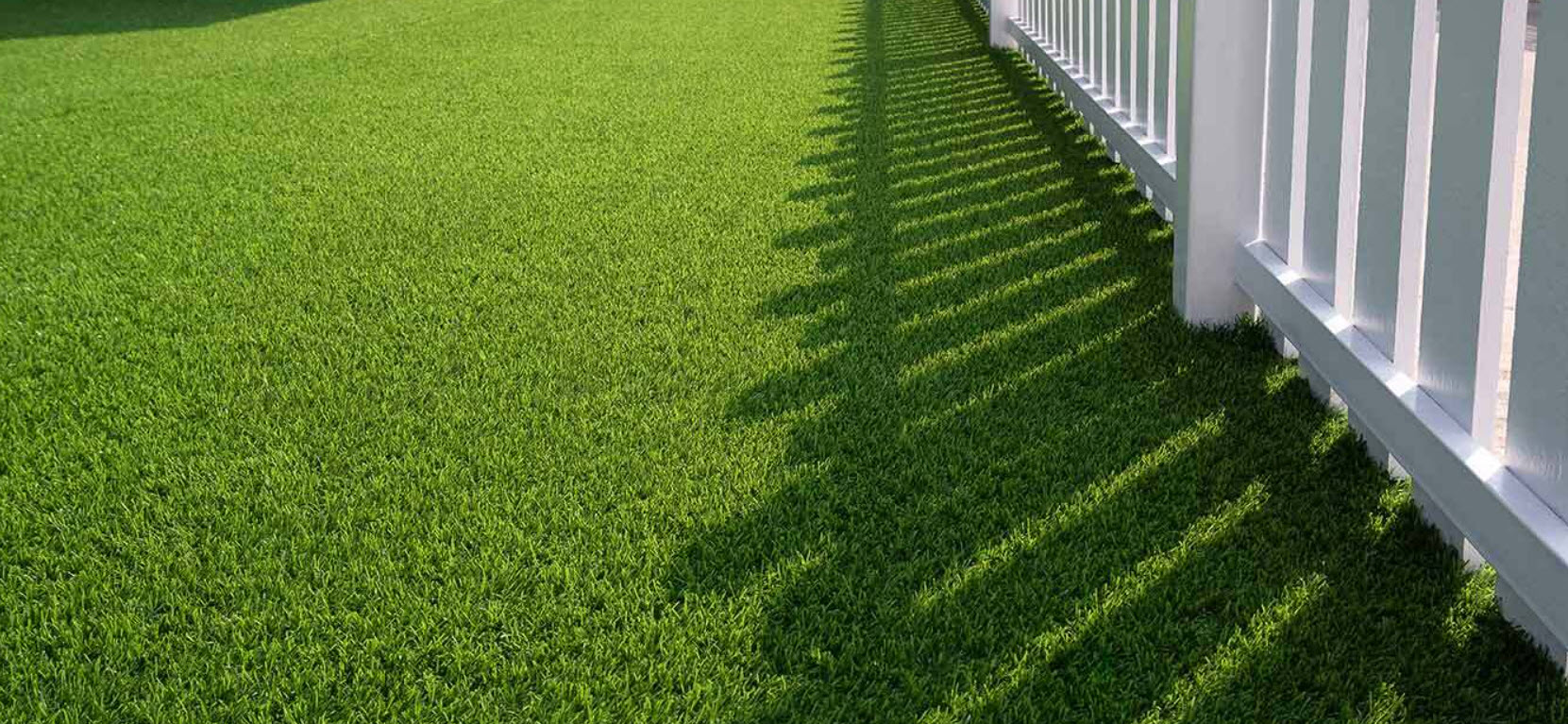 golf greens turf